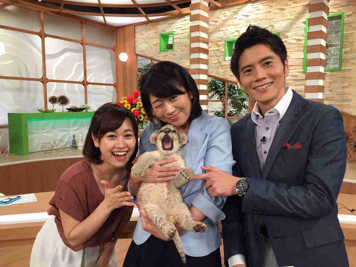【雑談】愛知県在住、在勤のガルちゃん民