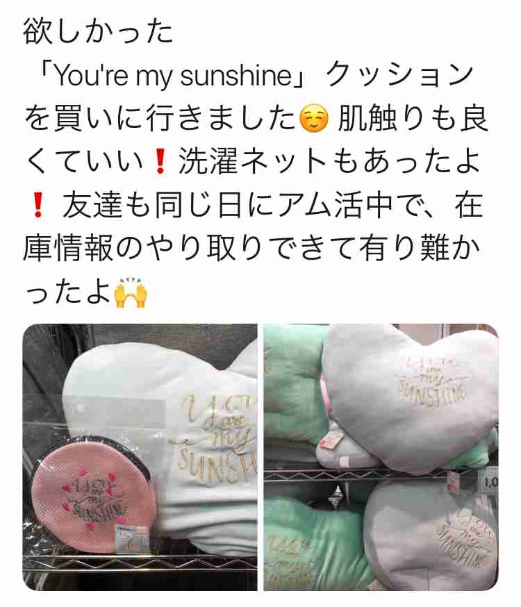 アムロス癒やす〝聖地〟誕生へ　宜野湾市に安室奈美恵さんのミュージアム構想　最後のライブ地に20年目標
