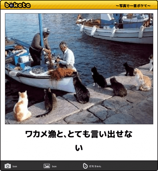 動物のboketeを貼るトピpart2
