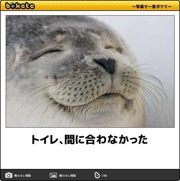 動物のboketeを貼るトピpart2