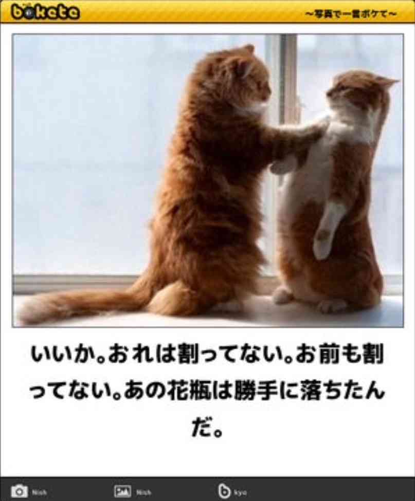 動物のboketeを貼るトピpart2