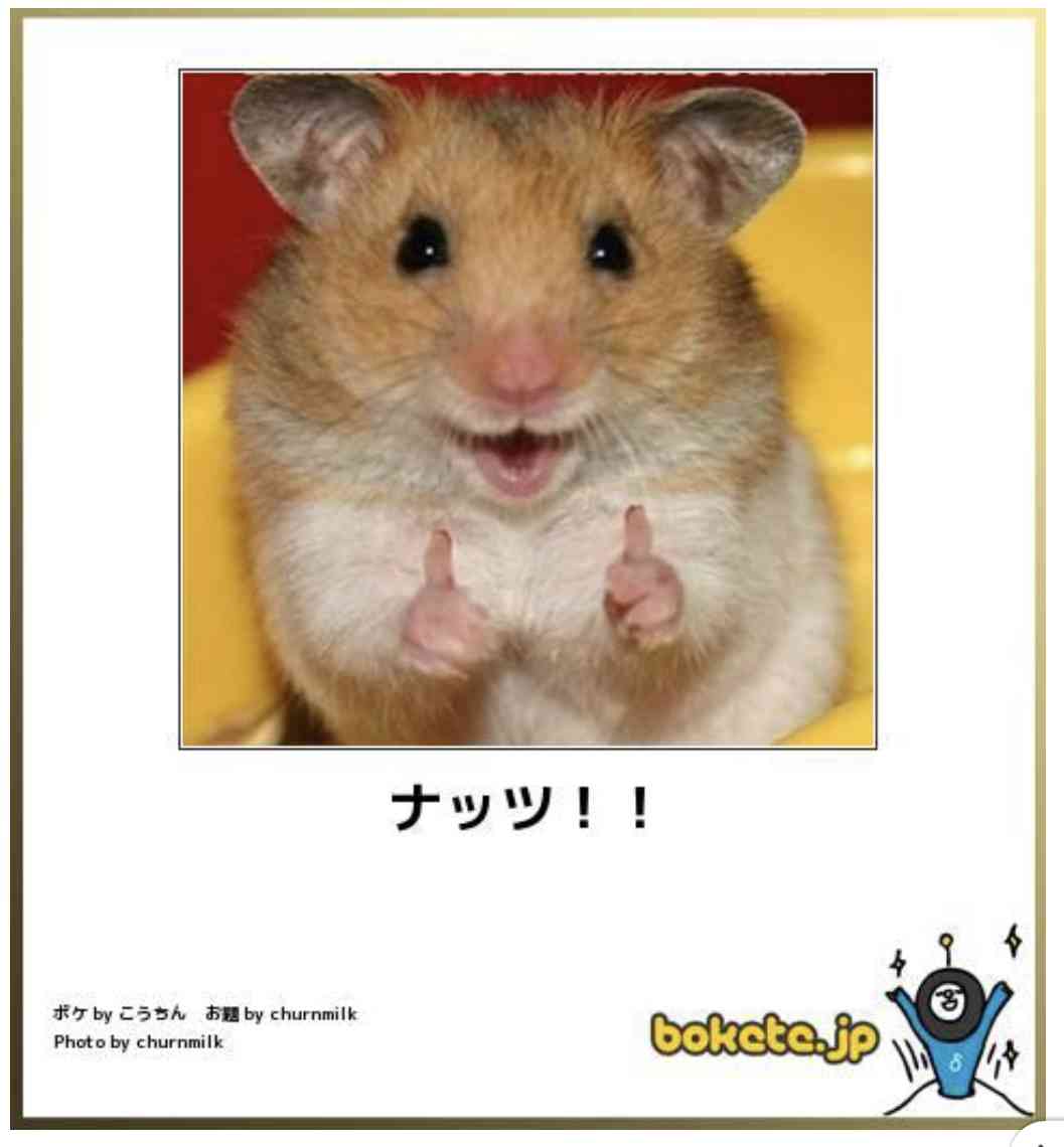 動物のboketeを貼るトピpart2