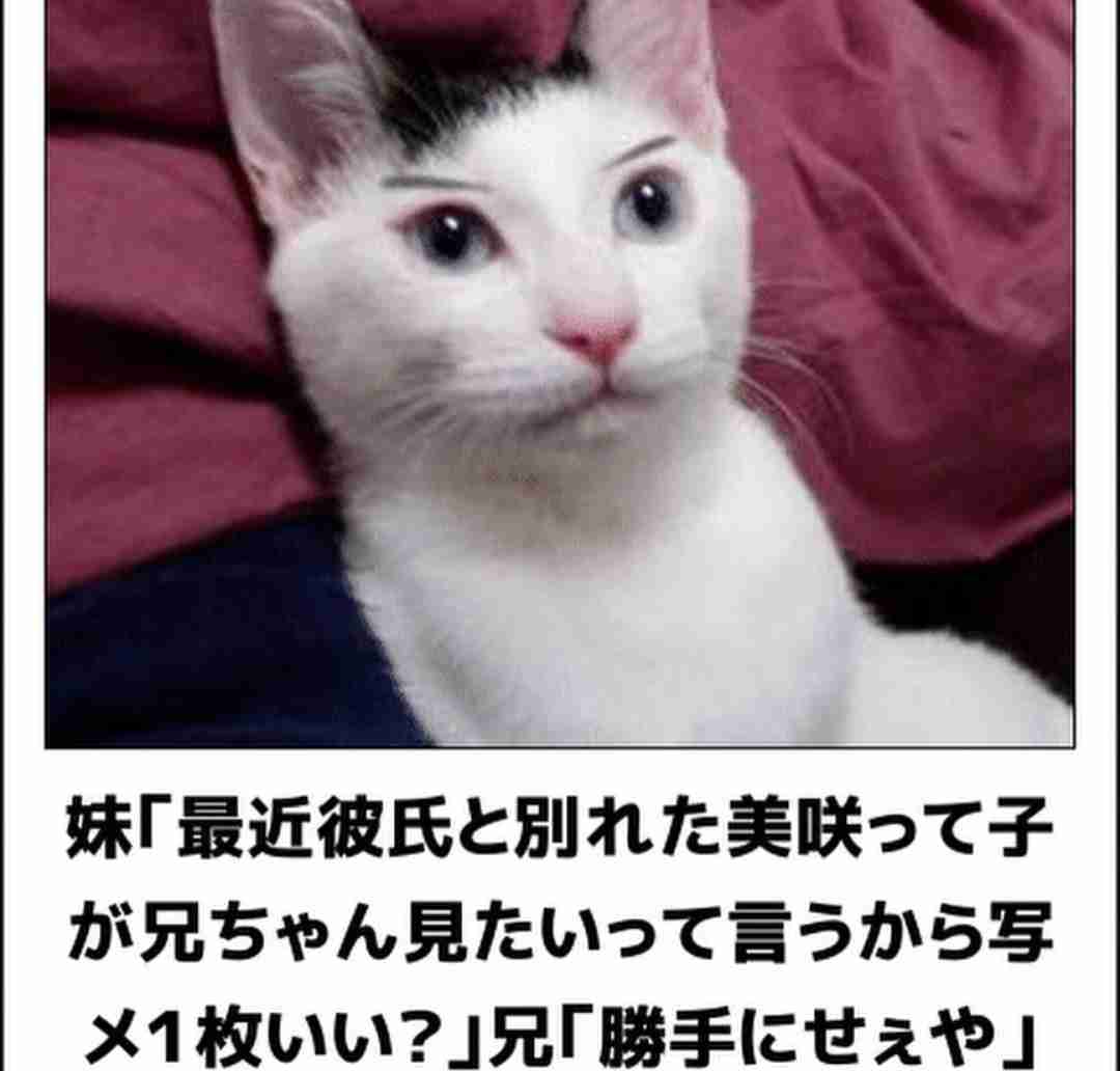動物のboketeを貼るトピpart2
