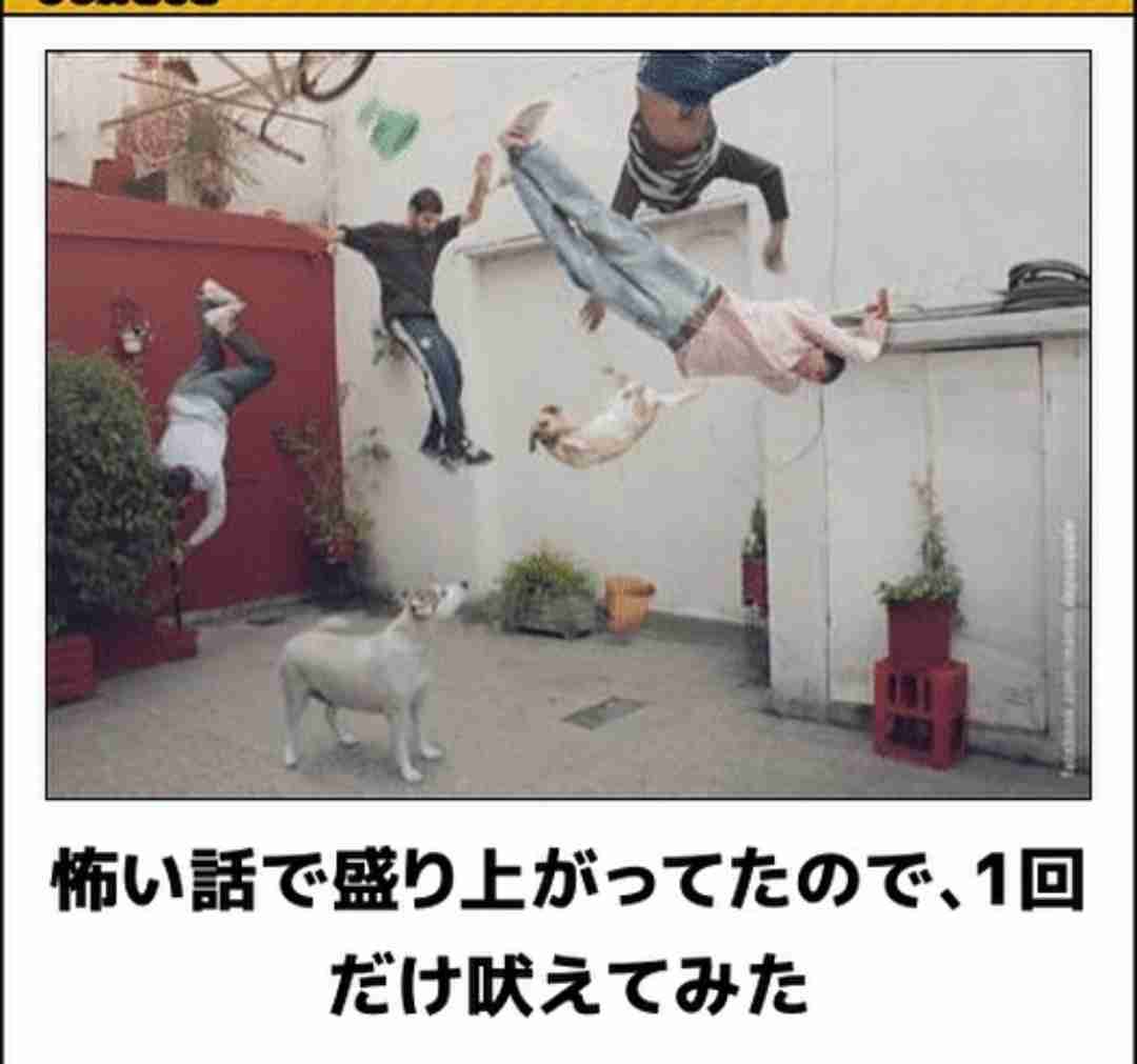 動物のboketeを貼るトピpart2