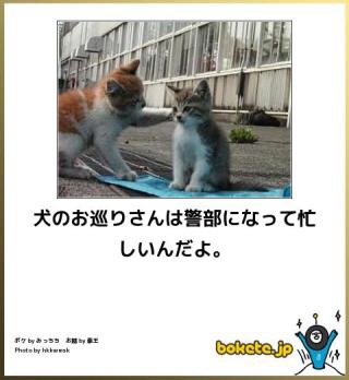 動物のboketeを貼るトピpart2
