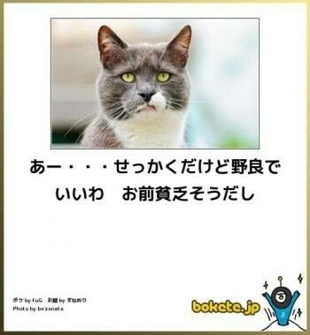動物のboketeを貼るトピpart2