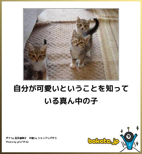 動物のboketeを貼るトピpart2