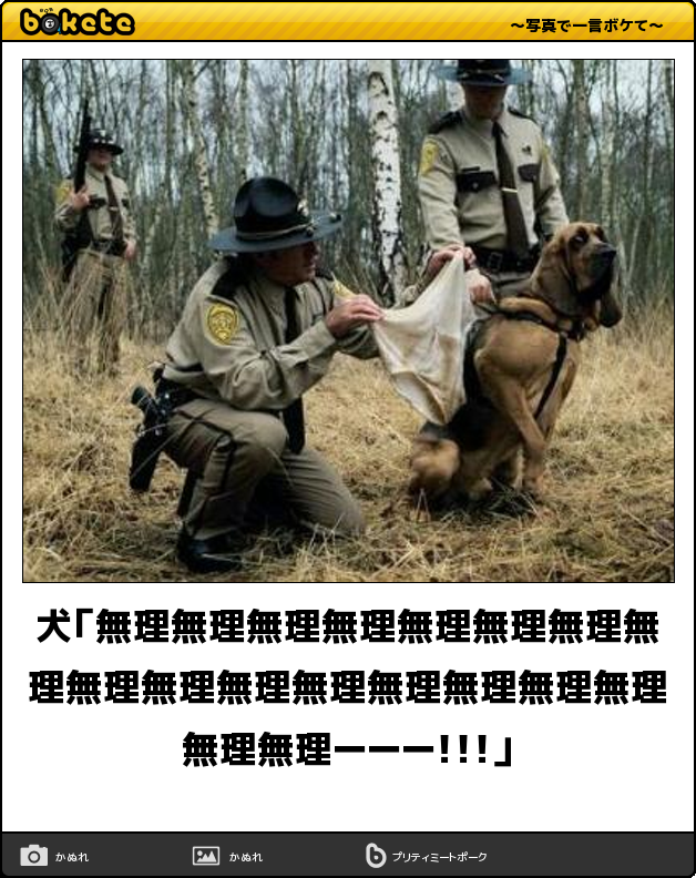 動物のboketeを貼るトピpart2