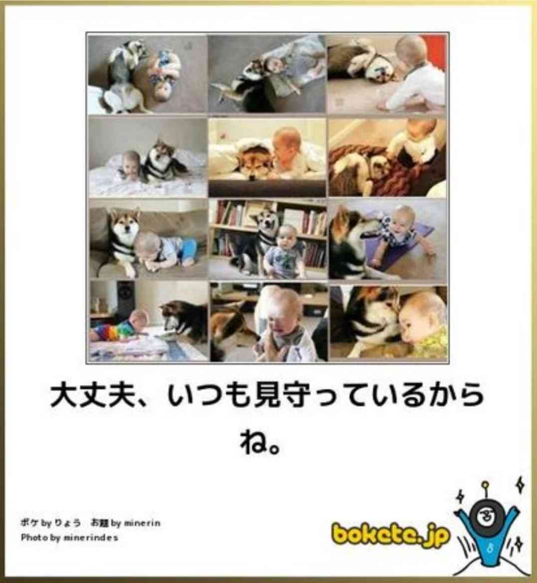 動物のboketeを貼るトピpart2