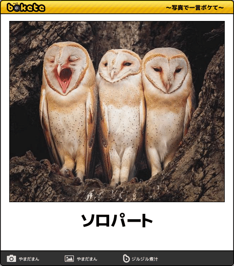 動物のboketeを貼るトピpart2