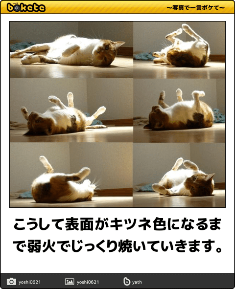 動物のboketeを貼るトピpart2