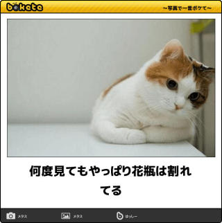 動物のboketeを貼るトピpart2