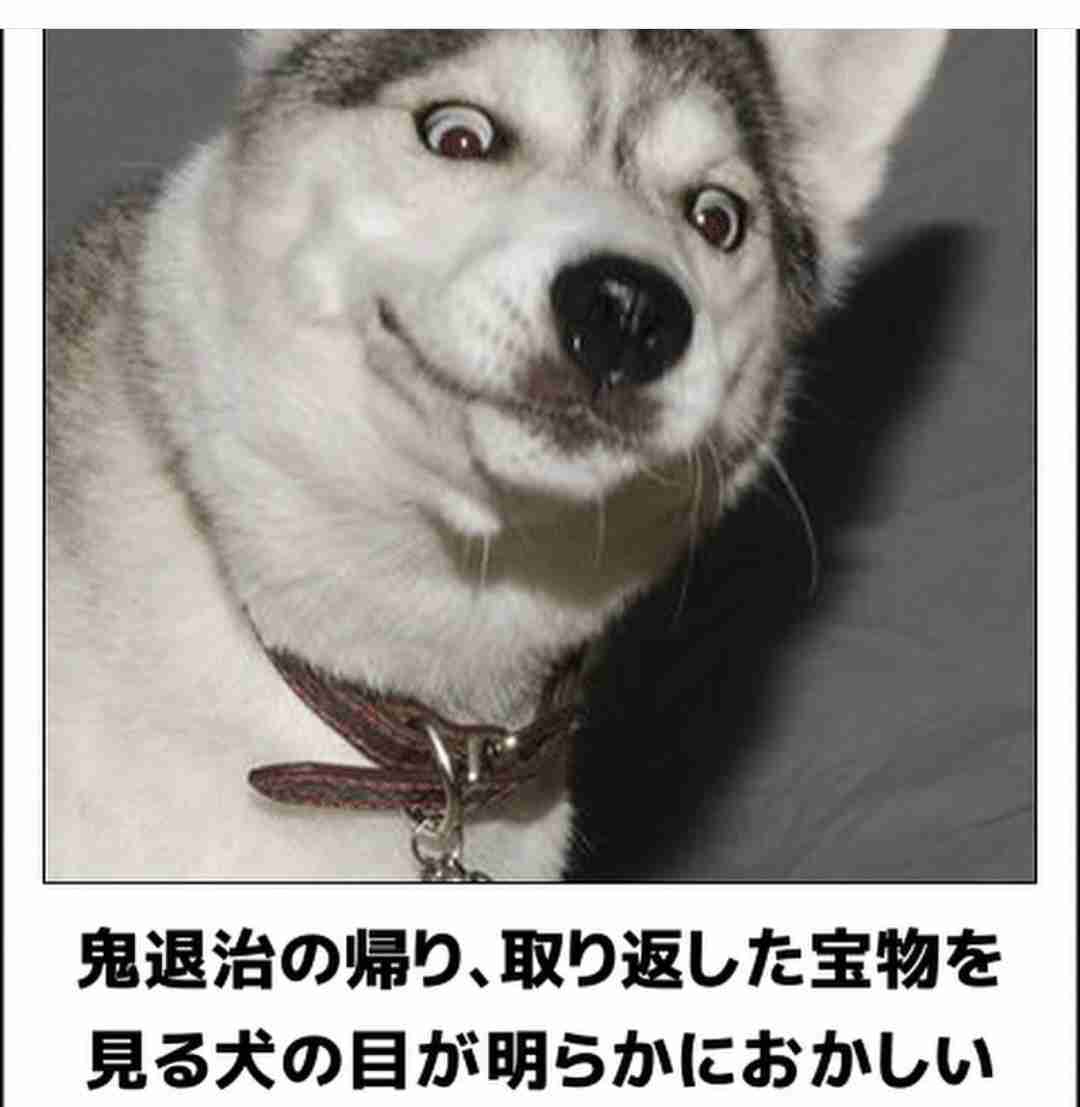 動物のboketeを貼るトピpart2