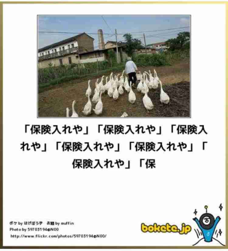 動物のboketeを貼るトピpart2