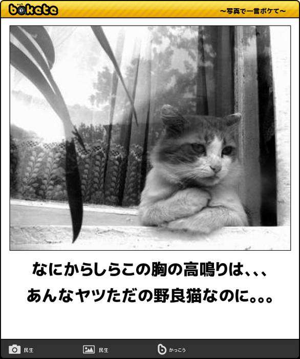 動物のboketeを貼るトピpart2