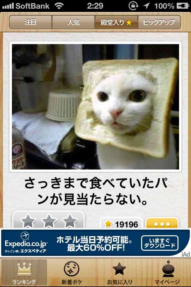 動物のboketeを貼るトピpart2