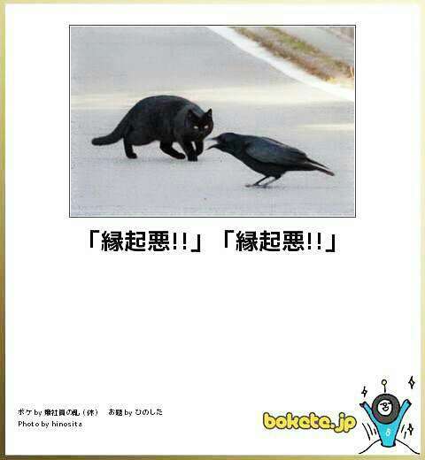動物のboketeを貼るトピpart2