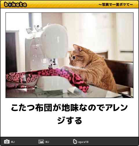 動物のboketeを貼るトピpart2