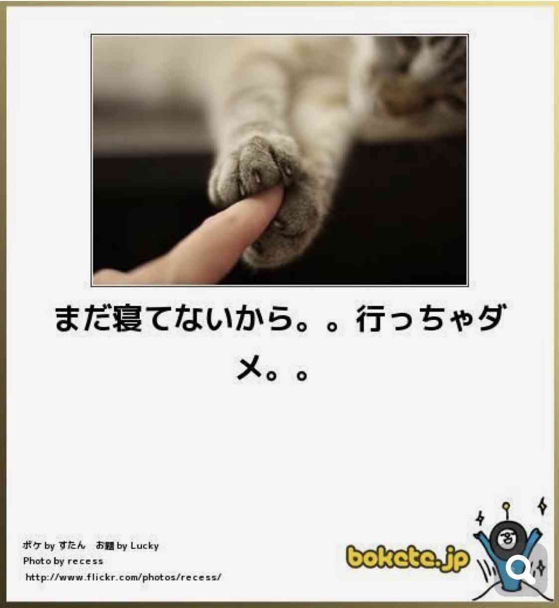 動物のboketeを貼るトピpart2