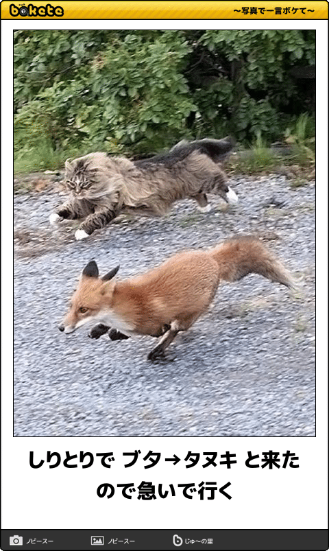 動物のboketeを貼るトピpart2