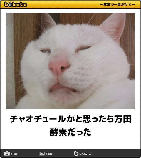 動物のboketeを貼るトピpart2