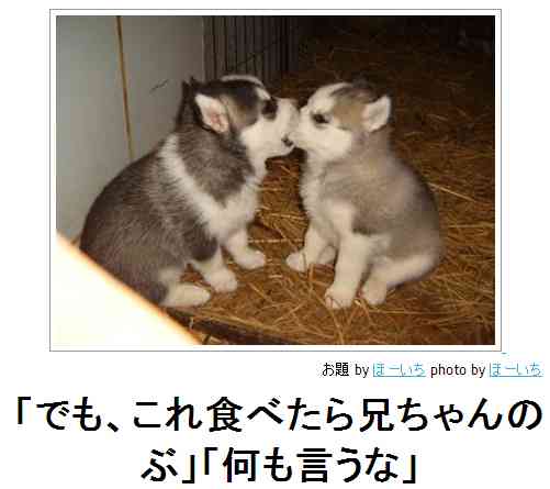 動物のboketeを貼るトピpart2