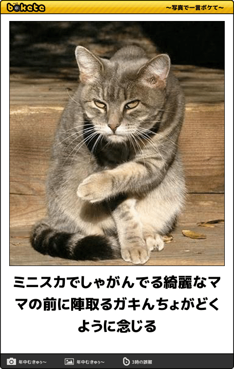 動物のboketeを貼るトピpart2