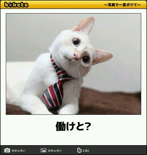 動物のboketeを貼るトピpart2