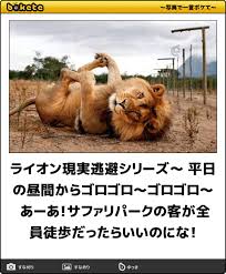 動物のboketeを貼るトピpart2