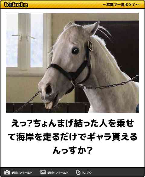 動物のboketeを貼るトピpart2