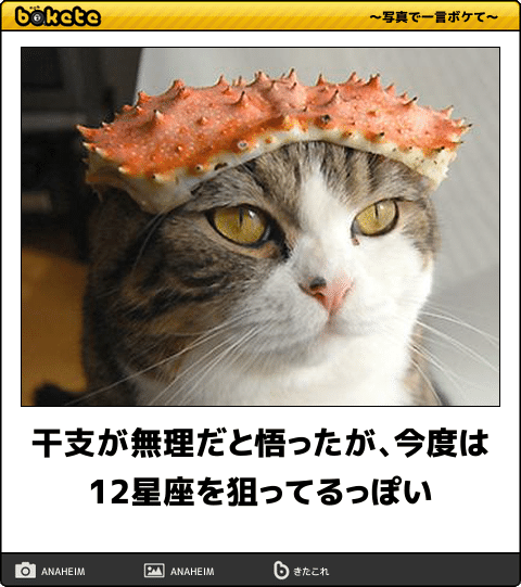動物のboketeを貼るトピpart2