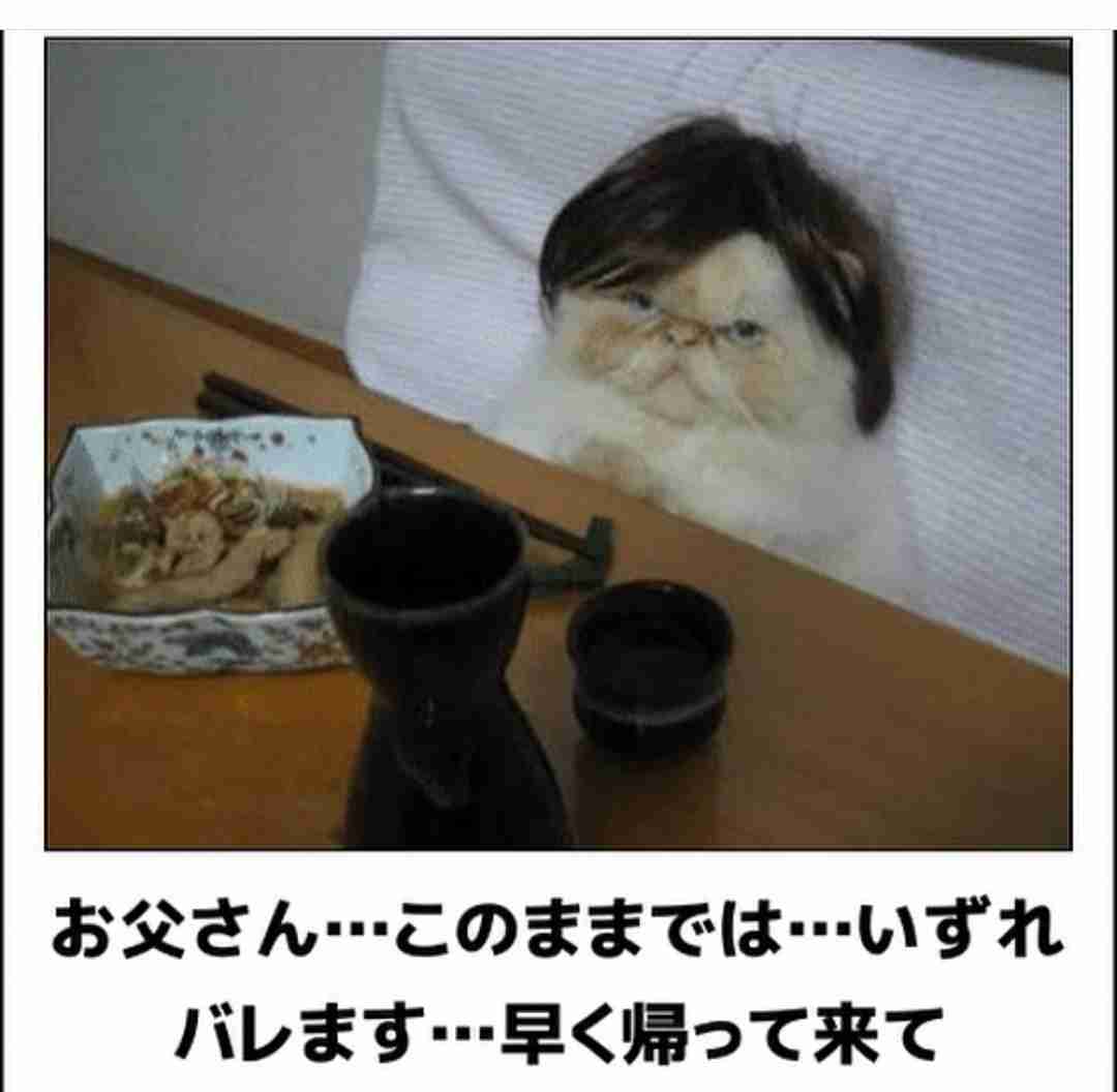 動物のboketeを貼るトピpart2