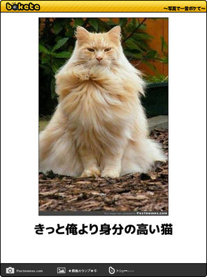 動物のboketeを貼るトピpart2