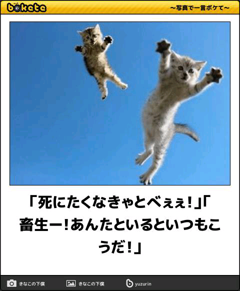 動物のboketeを貼るトピpart2