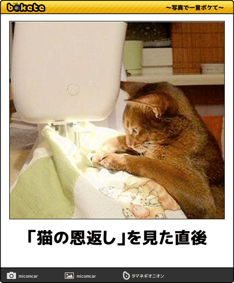 動物のboketeを貼るトピpart2