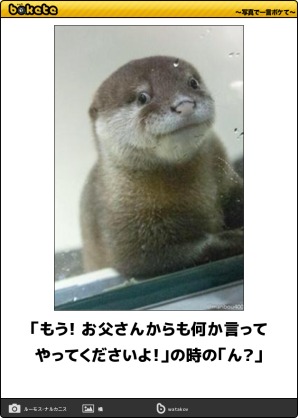 動物のboketeを貼るトピpart2