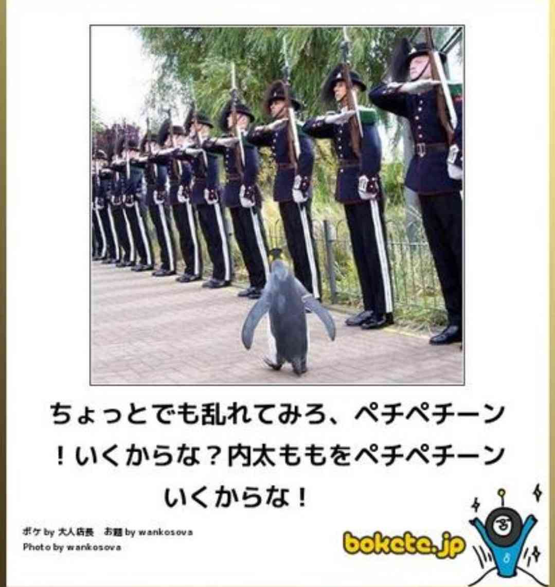 動物のboketeを貼るトピpart2