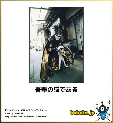 動物のboketeを貼るトピpart2