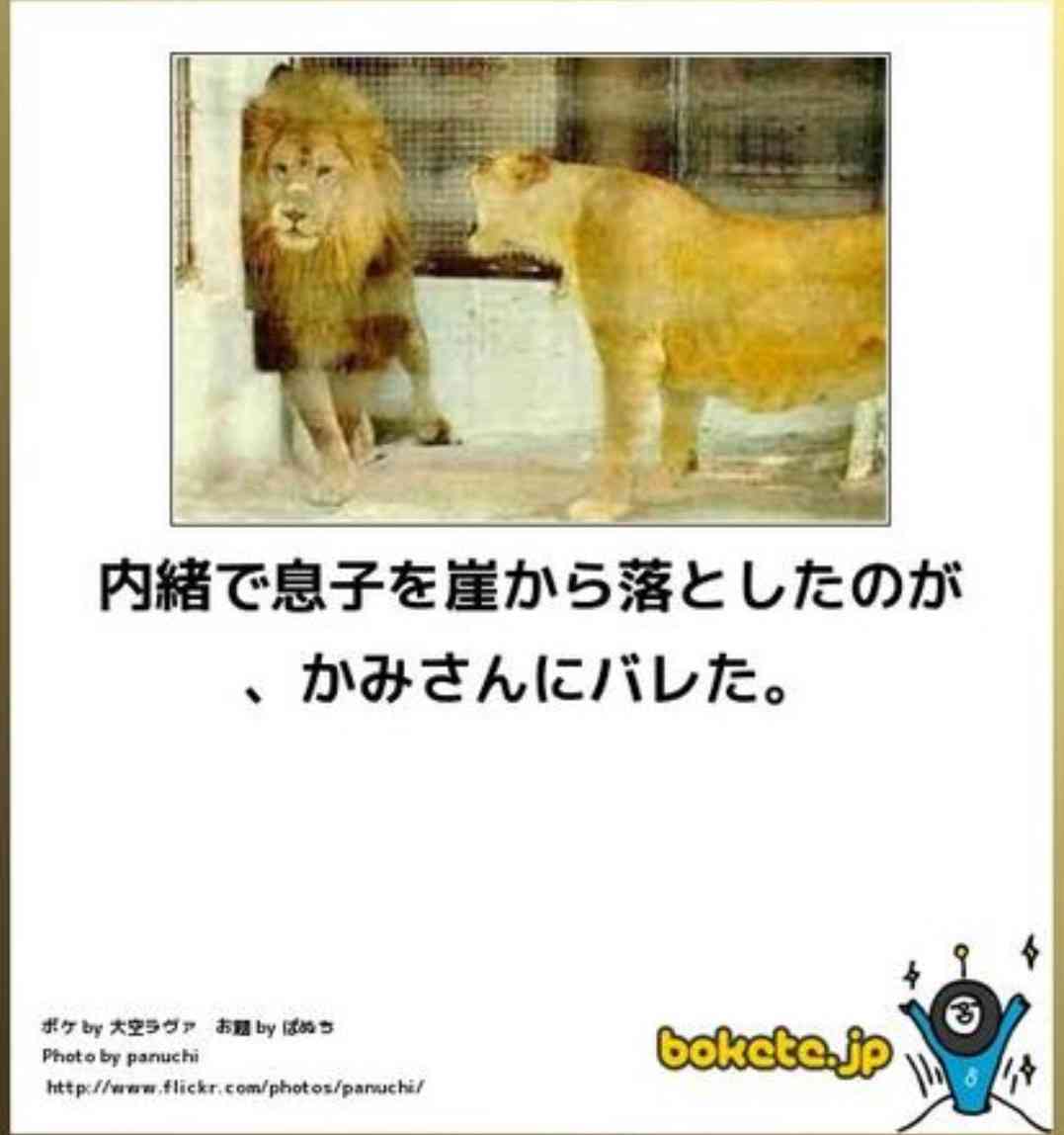 動物のboketeを貼るトピpart2