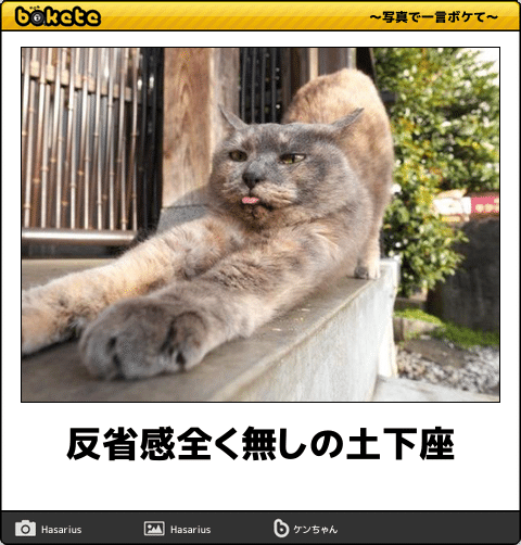 動物のboketeを貼るトピpart2