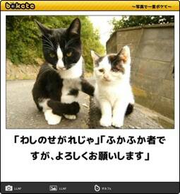 動物のboketeを貼るトピpart2
