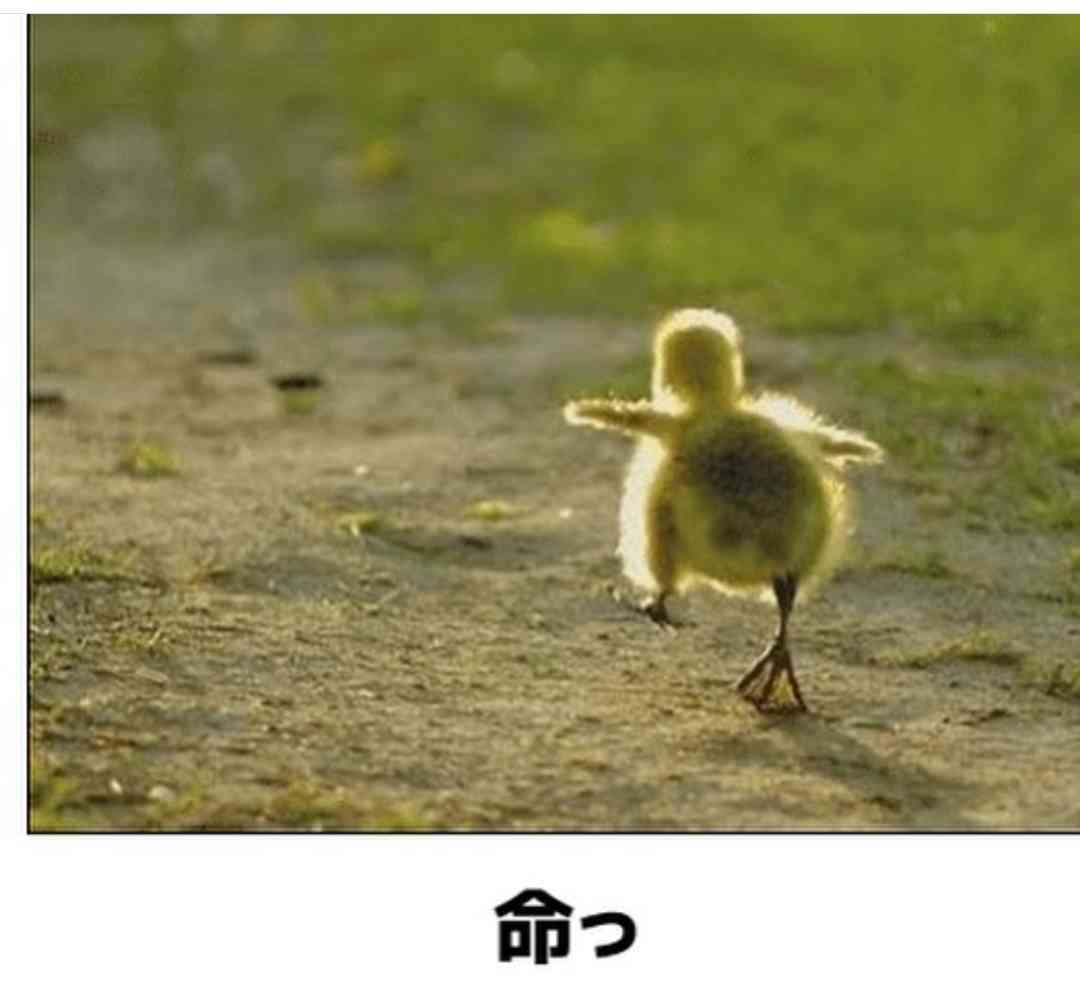 動物のboketeを貼るトピpart2