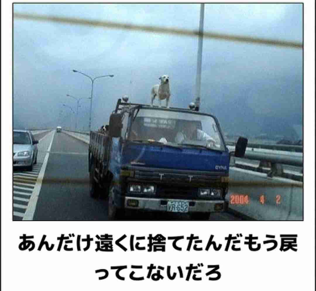 動物のboketeを貼るトピpart2