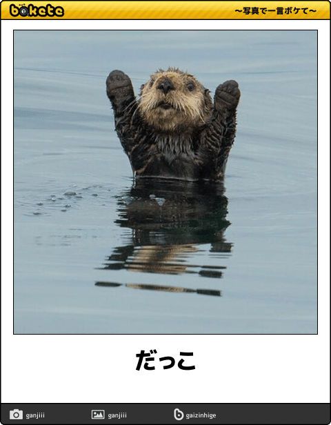 動物のboketeを貼るトピpart2