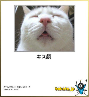 動物のboketeを貼るトピpart2