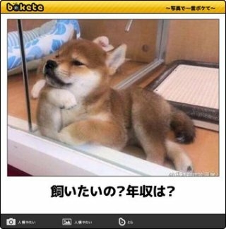 動物のboketeを貼るトピpart2