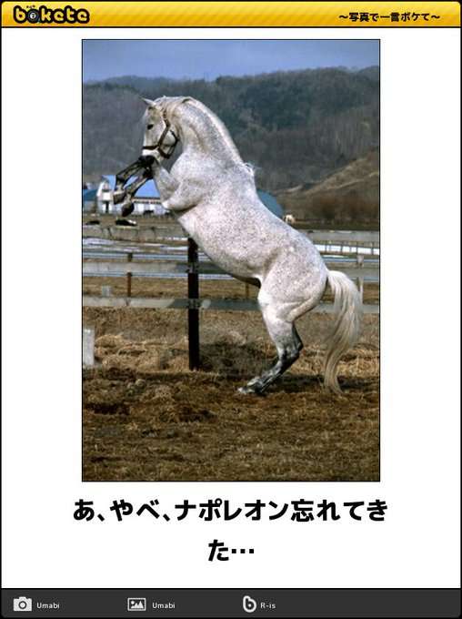 動物のboketeを貼るトピpart2