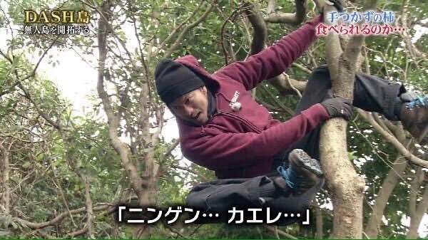 ジャニーズの使えるテロップ画像を貼るトピ