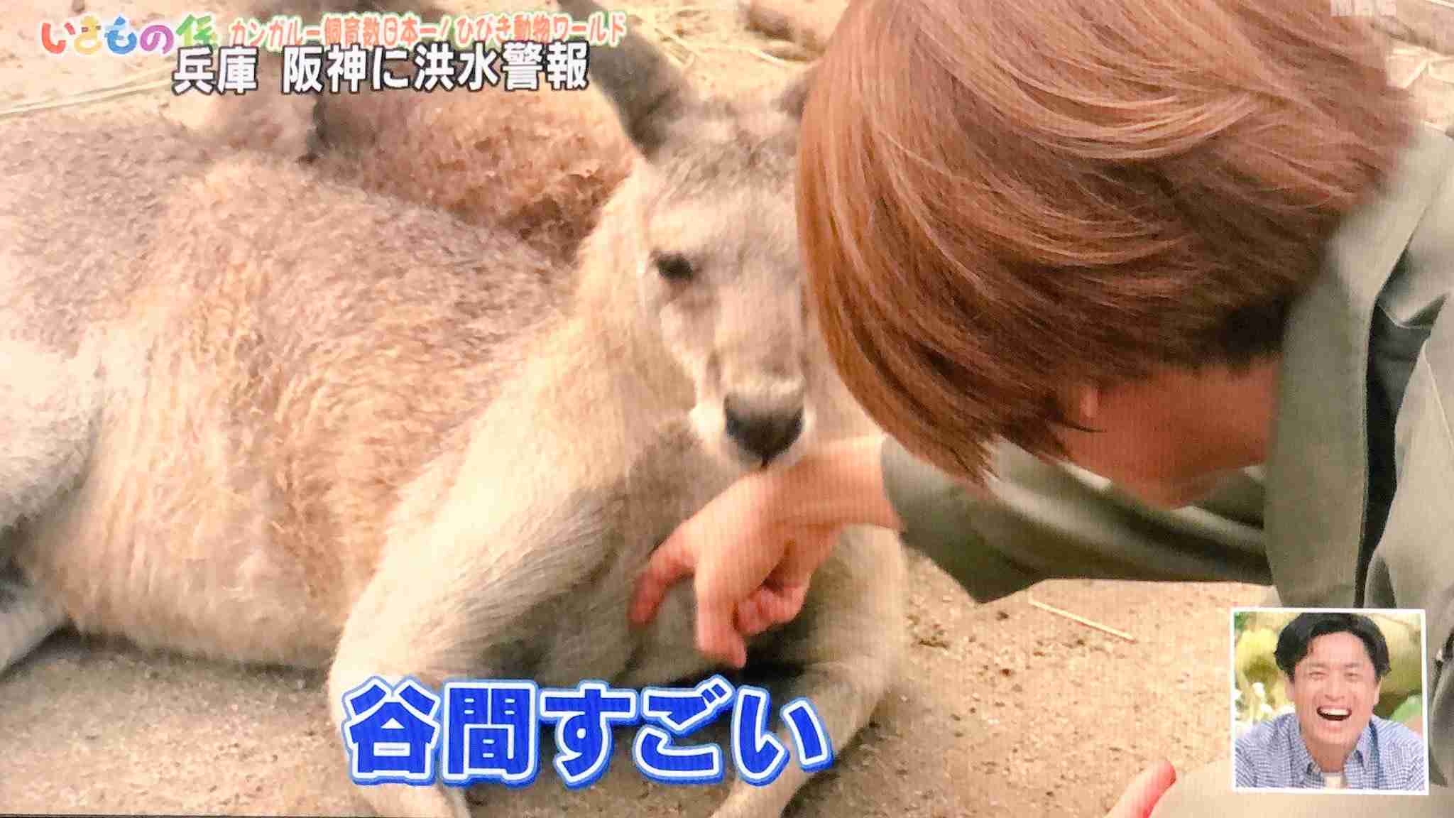 ジャニーズの使えるテロップ画像を貼るトピ