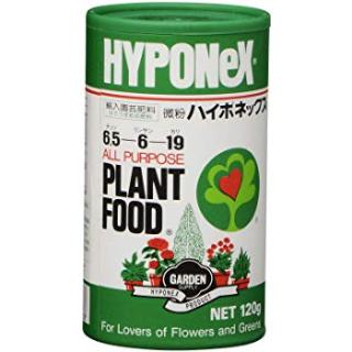 【11月】家庭菜園トピ